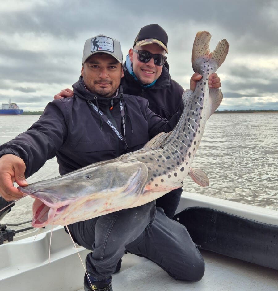 Mauri Pesca