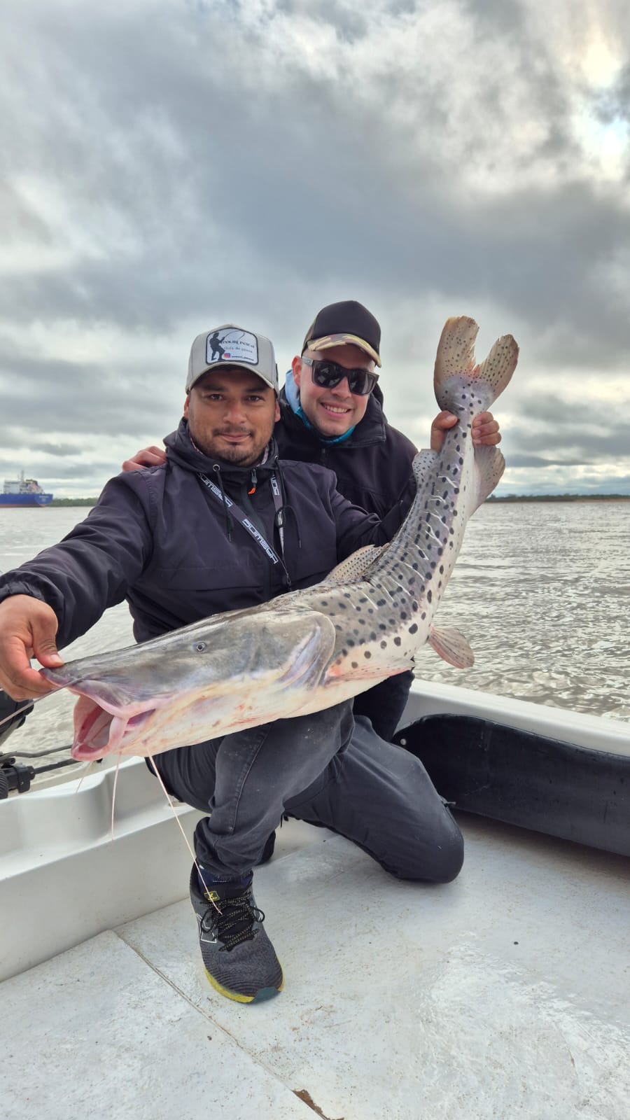 Mauri Pesca