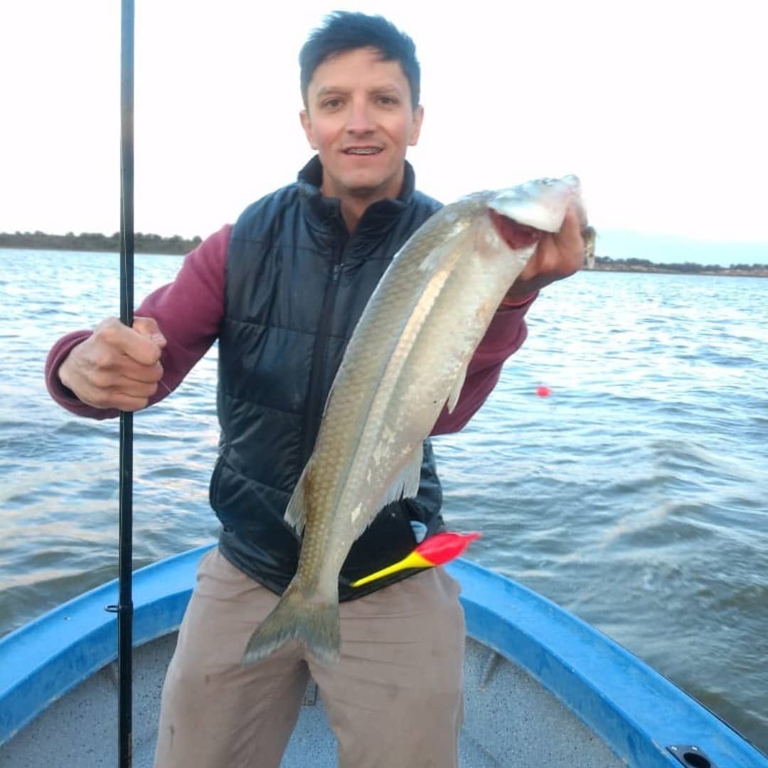 Lautaro Torea