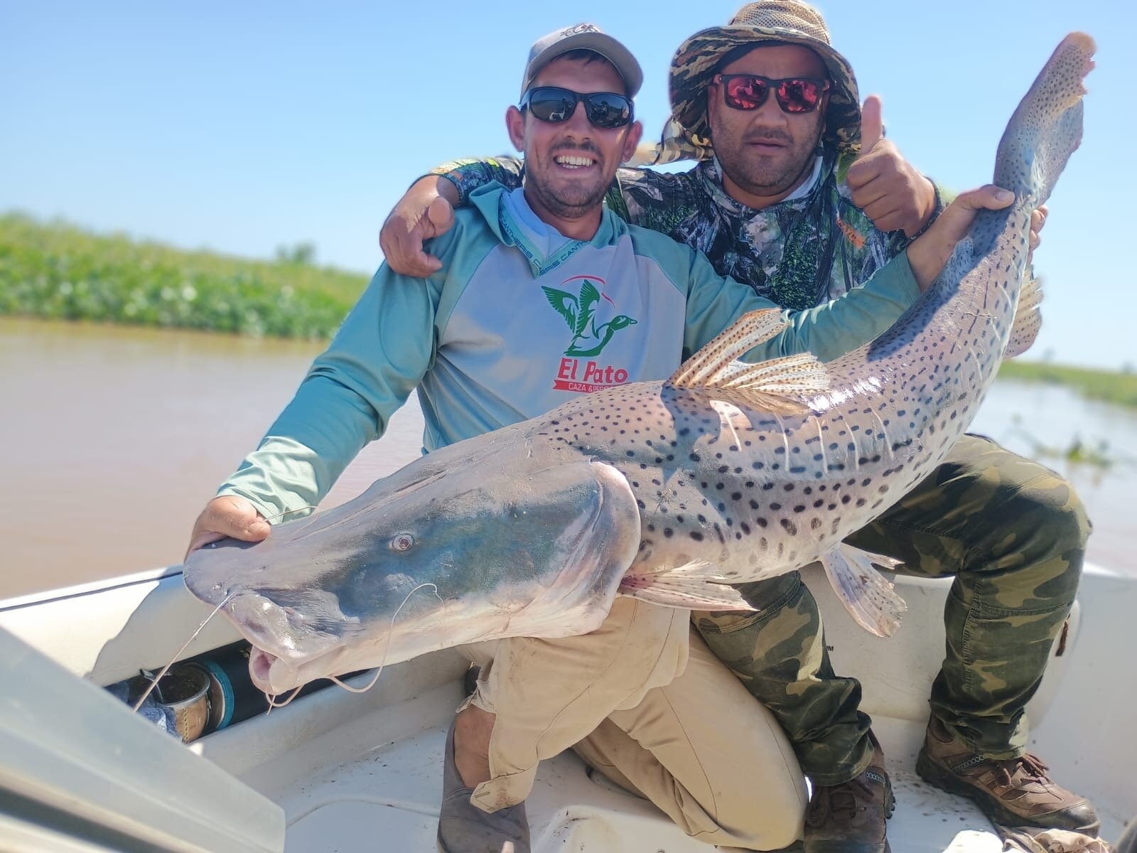 Walter Pesca