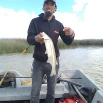 Gustavo Ghiorzi