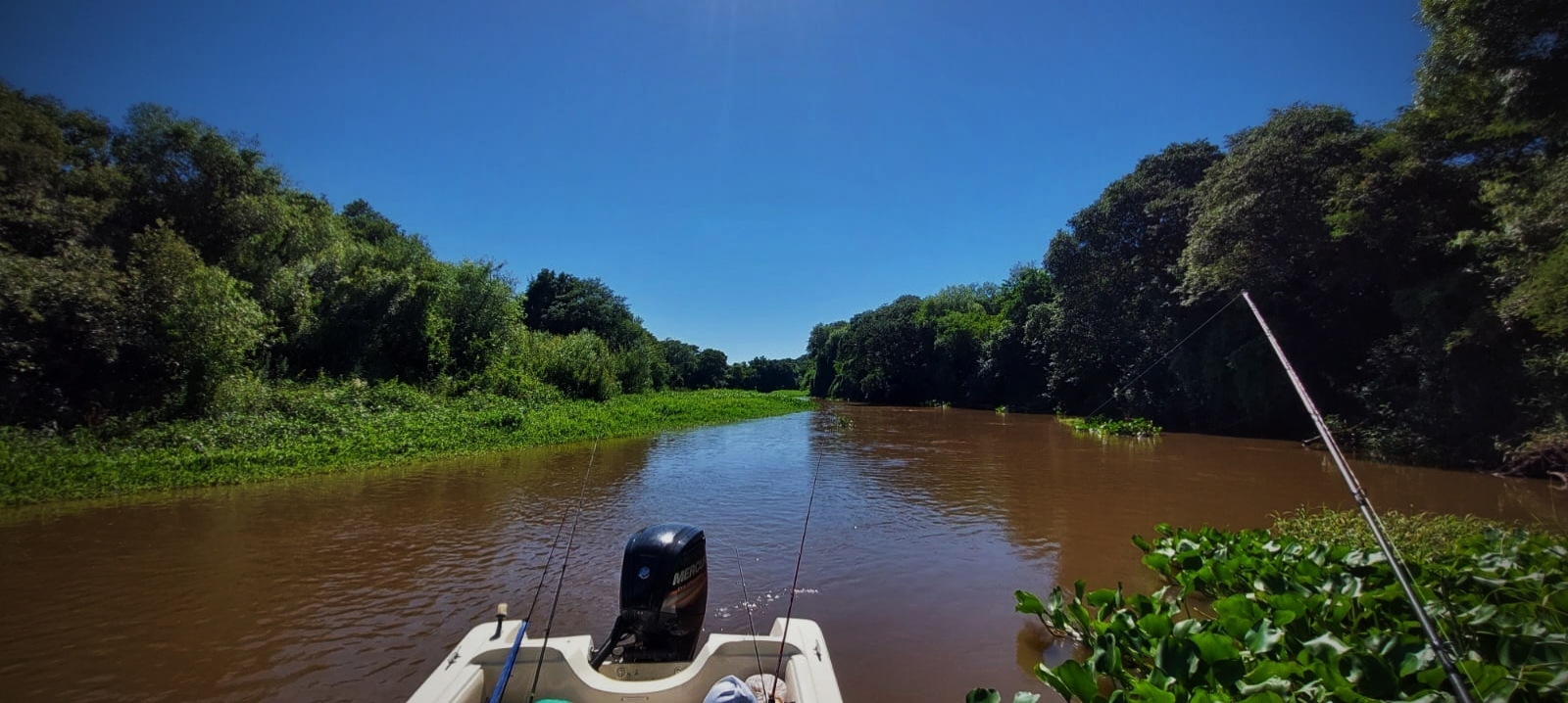 Rebo Pesca